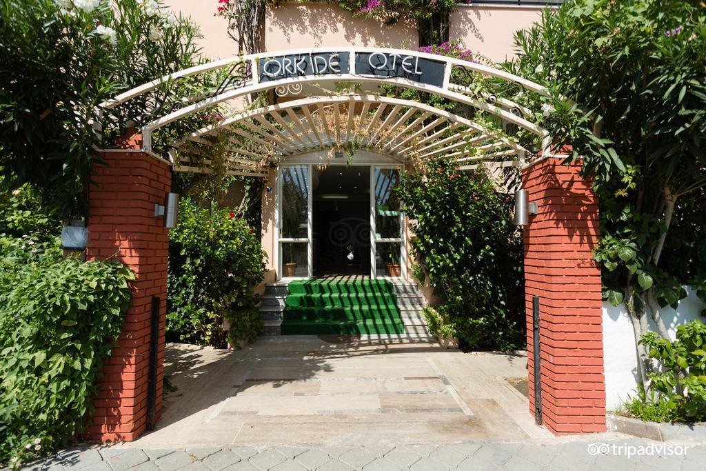 Orkide Hotel Armutalan Kültér fotó